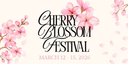 Cherry Blossom