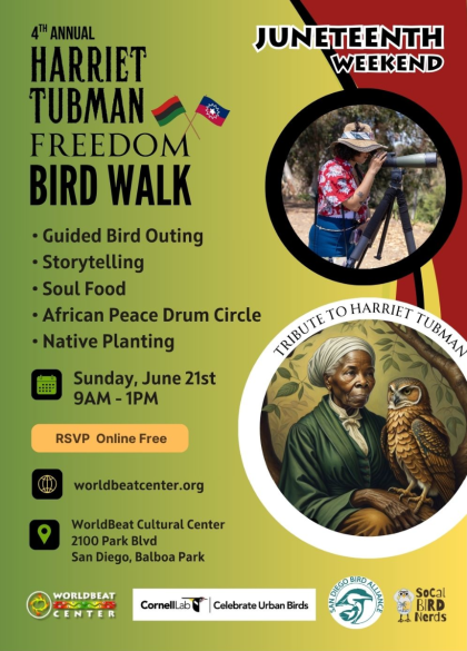 harriet tubman bird walk