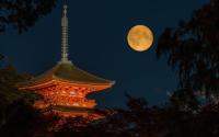 Moon Viewing Festival