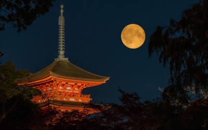 Moon Viewing Festival